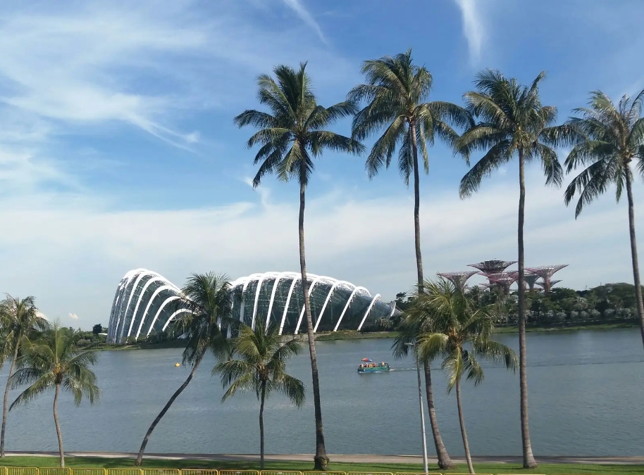 新加波勞務(wù)派遣鴻躍國際：夢想與現(xiàn)實之間的完美橋梁！